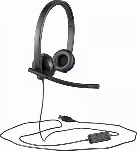 Auric+Micro LOGITECH H570e USB-A Negros (981-000575) | 5099206053304 imagen 2