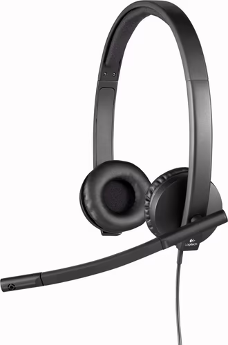 Auric+Micro LOGITECH H570e USB-A Negros (981-000575) | 5099206053304 imagen 4