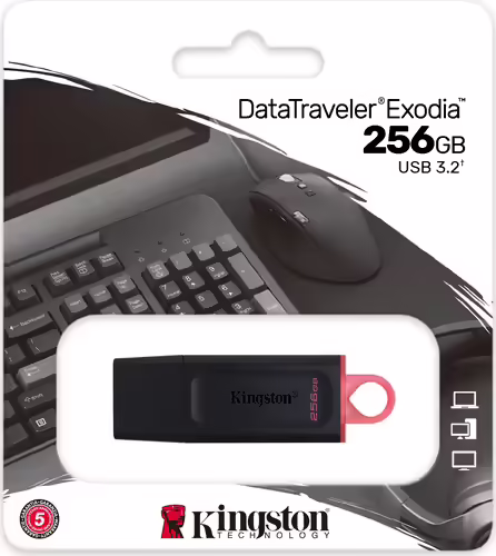 Pendrive Kingston Exodia 256Gb USB-A Negro (DTX/256GB) | 0740617310023 imagen 6
