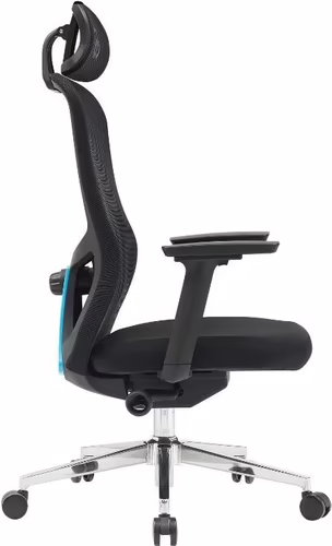 Silla Newskill Nue Ergonómica Negra (NS-CH-NUE-BB) imagen 3