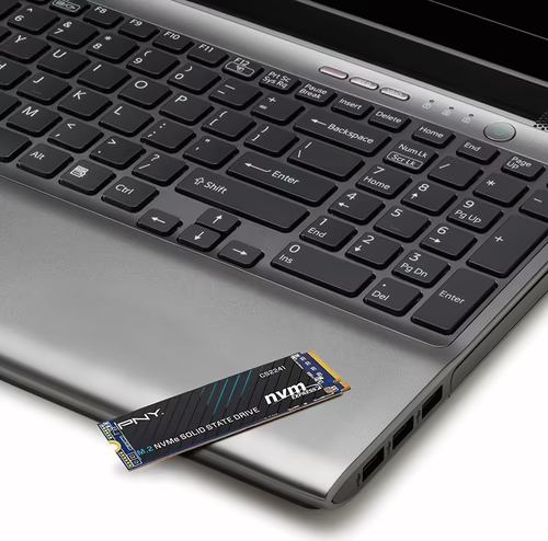 SSD PNY CS2241 500Gb M.2 (M280CS2241-500-RB) imagen 4