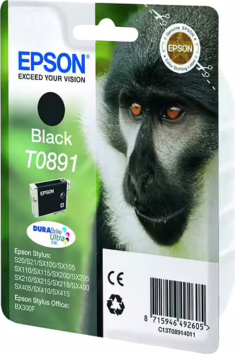 CARTUCHO EPSON T0891 NEGRO C13T08914011 | 8715946492605 imagen 2