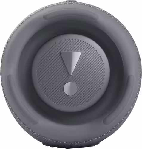 JBL CHARGE 5 Altavoz portátil estéreo Gris 30 W | JBLCHARGE5GRY | 6925281982118 imagen 5
