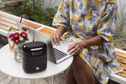 Jbl Tuner XL Altavoz Bluetooth con Radio FM/DAB/DAB+ | 4010201483 | 6925281970641 imagen 6