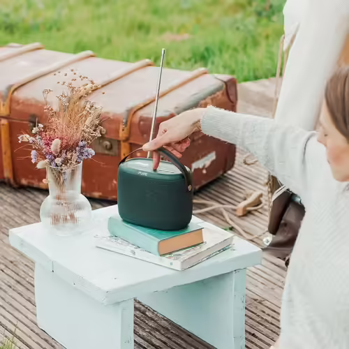 Pure Woodland Altavoz Bluetooth Impermeable con Radio DAB+ | 4010201580 | 0759454300746 imagen 9