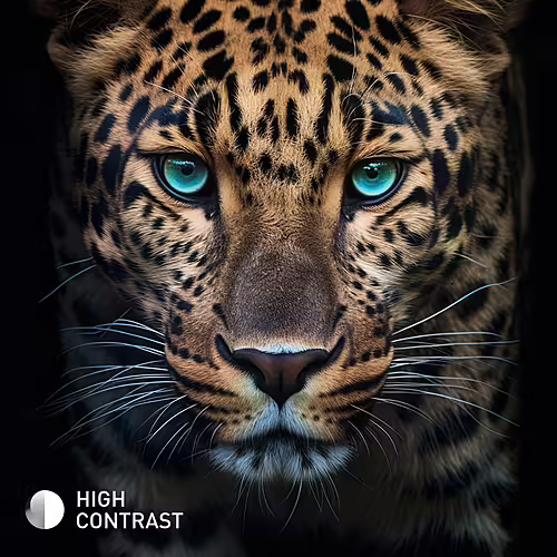 Televisor 40` Panasonic TB-40S45AEZ LCD-LED Full HD Smart TV Tivo | 4050100311 | 5025232964918 imagen 6