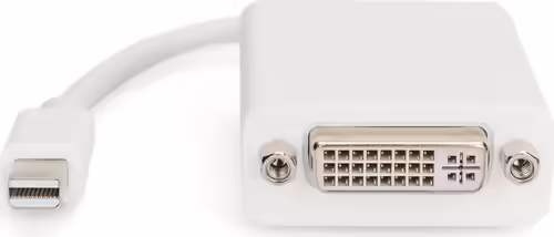 ASSMANN Electron 0.15m DVI-D, mini DisplayPort Blanco | AK-340406-001-W | 4016032289579 imagen 2