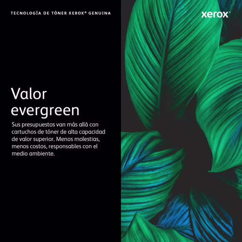 Cartucho de tambor xerox versaLink B600/B605/B610/B615 unidad de imagen 101R0058 | 101R00582 | 0095205847628 imagen 6