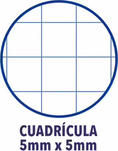 CUADERNO OXFORD ESPIRAL A4+ TAPA EXTRADURA ROSA 100430270 | 8412771117771 imagen 3