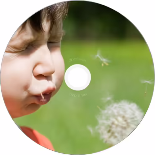 DVD-R VERBATIM 10 UNIDADES 4.7GB 16x 43521 | 0239424352116 imagen 4