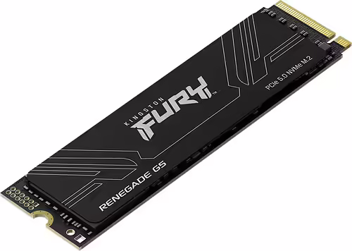 Kingston Technology 2T FURY RENEGADE G5 M.2 2280 NVMe SSD | SFYR2S/2T0 | 0740617349498 imagen 3