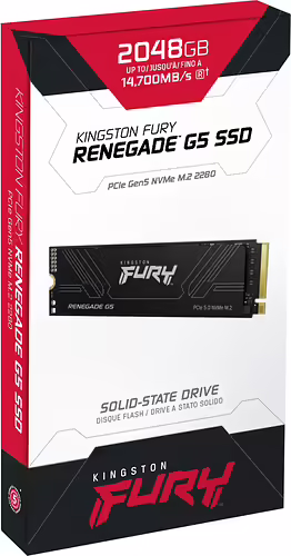 Kingston Technology 2T FURY RENEGADE G5 M.2 2280 NVMe SSD | SFYR2S/2T0 | 0740617349498 imagen 4