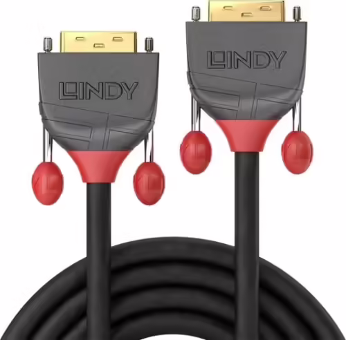 Lindy 36240 cable DVI 10 m DVI-D Negro | LINDY36240 | 4002888362405 imagen 2