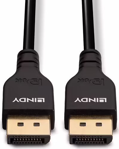 Lindy 36462 cable DisplayPort 2 m Negro | 4002888364621 imagen 4