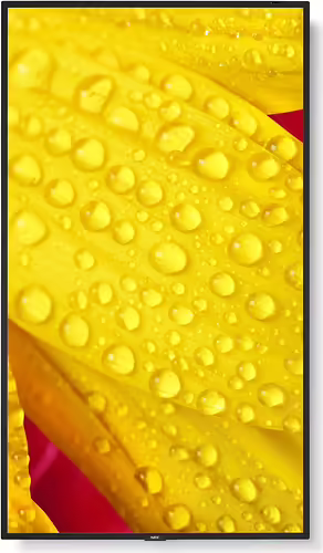 NEC MultiSync M501-2 Diseño de quiosco 127 cm (50``) LED 4K Ultra HD Negro Proc | 60006084 | 5028695127470 imagen 8