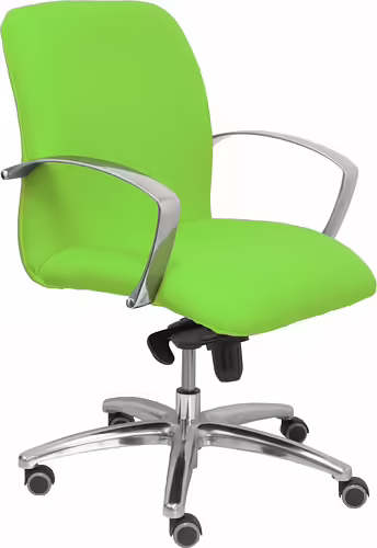 Piqueras y Crespo Sillon Caudete confidente bali verde pistacho | 116CBBALI22 | 8436563383281 imagen 2