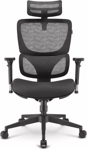 Sharkoon OfficePal C30 Asiento tipo nido Respaldo de malla | 4044951038558 imagen 2