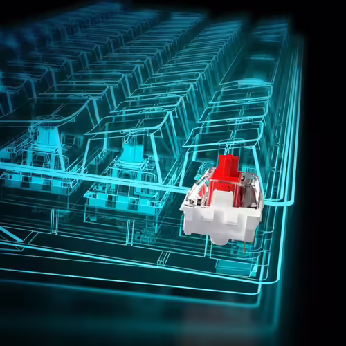 Sharkoon SGK50 S4 teclado RF inalámbrica + USB QWERTY Portugués Blanco | 4044951034666 imagen 5