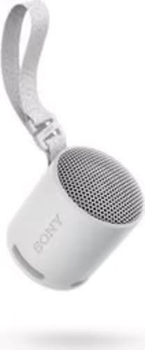 Sony SRS-XB100 Altavoz monofónico portátil Gris | SRSXB100H.CE7 | 4548736146136 imagen 2