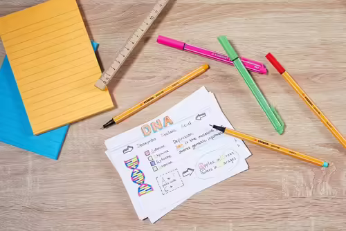 STABILO point 88 rotulador de punta fina Gris 1 pieza(s) | 88/95 | 4006381493338 imagen 9