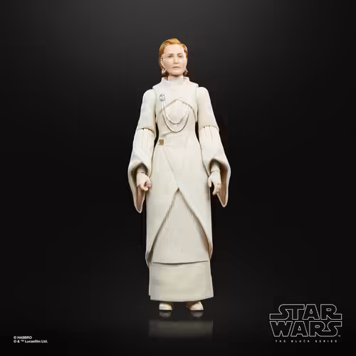 Star Wars The Black Series F55305X0 toy figure | 5010994179328 imagen 5