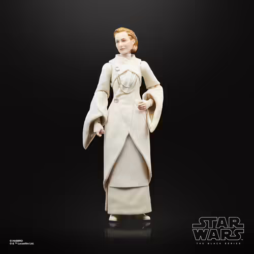Star Wars The Black Series F55305X0 toy figure | 5010994179328 imagen 9