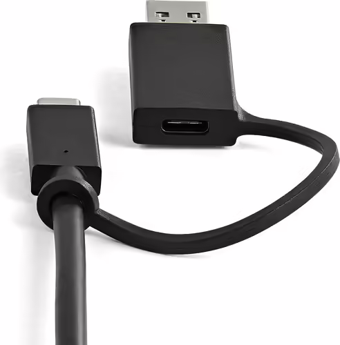 StarTech.com Docking Station Universal de 4K Doble para Portátil - USB-C / USB | DK30C2DPEPUE | 0065030879989 imagen 2