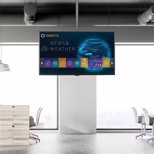 StarTech.com Soporte de Techo VESA para Montaje de Pantallas y TV de 32 a 70 Pul | FPCEILPTBLP | 0065030870412 imagen 7