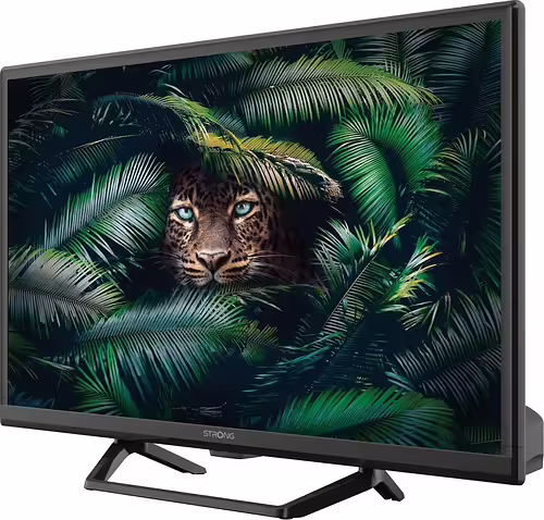 Strong SRT 24HE4023C 61 cm (24``) HD Negro 180 cd / m² | 9120072377617 imagen 5