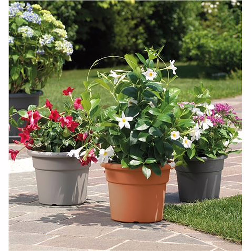 MACETA REDONDA DIAMETRO 40CM ANTRACITA ARTPLAST | CIL.040.CB.AN | 8010693106936 imagen 2