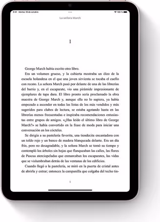 Imagen de Apple iPad 256 GB 27,7 cm (10.9``) Wi-Fi 6 (802.11ax) iPadOS 16 Plata
