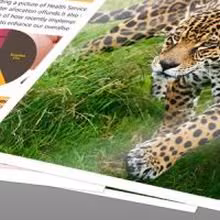 Imagen de MULTIFUNCION TINTA EPSON EXPRESSION PREMIUM XP-6100 WIFI NEGRO C11CG97403