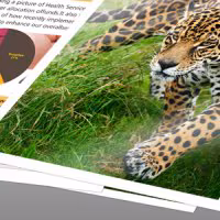 Imagen de Tinta Epson 502 Pack Negro/Tricolor (C13T02V64010)