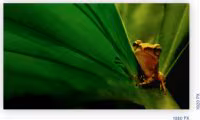 Imagen de AOC FLICKERFREE MONITOR 21.5P LED FULL HD NEGRO 22B2H