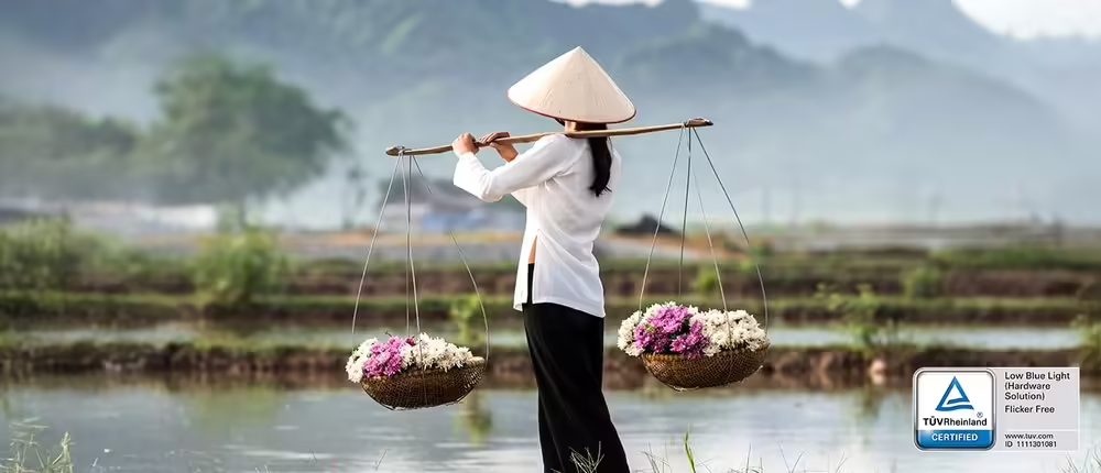 Imagen de DELL SE2425HG LED display 61 cm (24``) 1920 x 1080 Pixeles Full HD LCD Negro