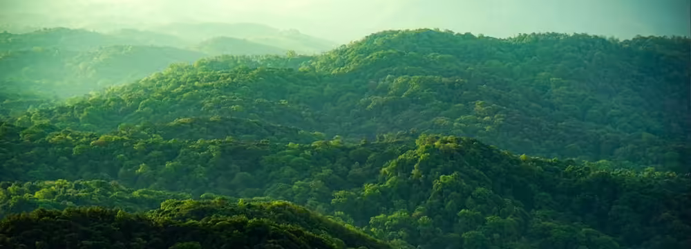 Imagen de DELL SE2425HG LED display 61 cm (24``) 1920 x 1080 Pixeles Full HD LCD Negro