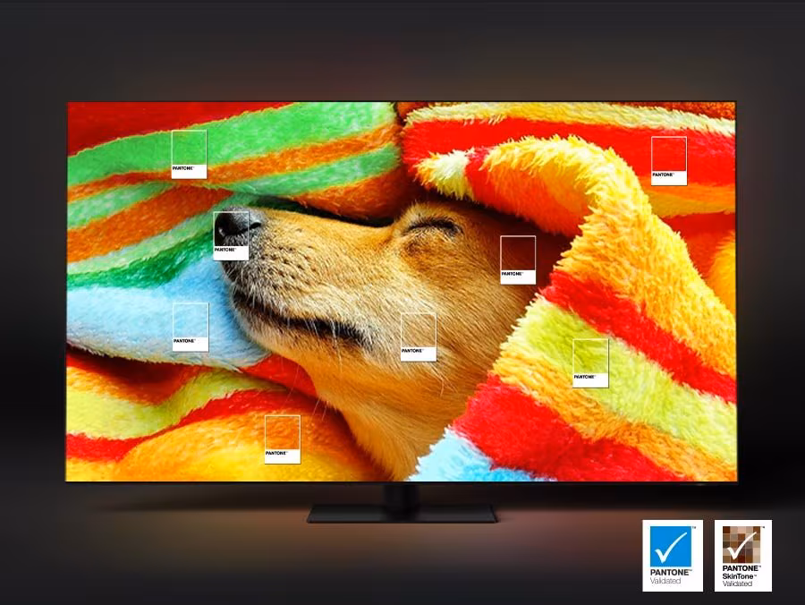 Imagen de Samsung TQ75Q80DAT 190,5 cm (75``) 4K Ultra HD Smart TV Wifi Plata