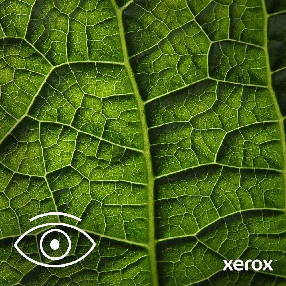 Imagen de Xerox C230 Impresora duplex PS3 PCL5e6 2 bandejas azul blanco