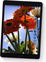 Imagen de Apple iPad 4G LTE 256 GB 25,9 cm (10.2``) 3 GB Wi-Fi 5 (802.11ac) iPadOS 15 Plata